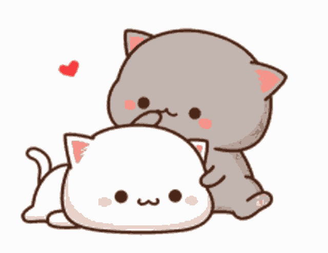 Cat Love GIF