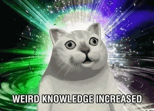 Cat Meme Knowledge Meme