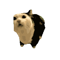 Cat Meme Panic Sticker