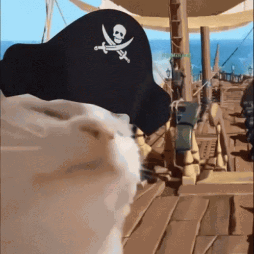 Cat GIF