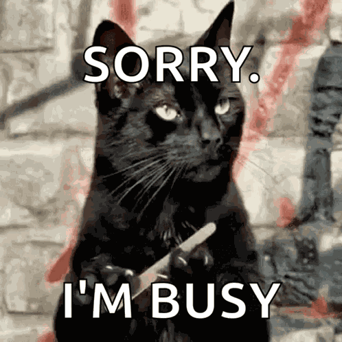 Cat Nail File GIF