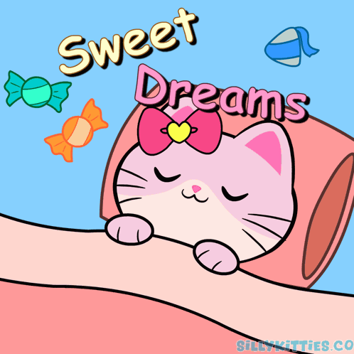 Cat Night GIF