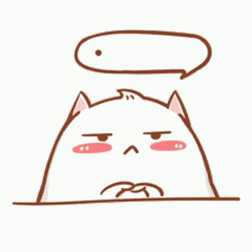Cat No Words GIF