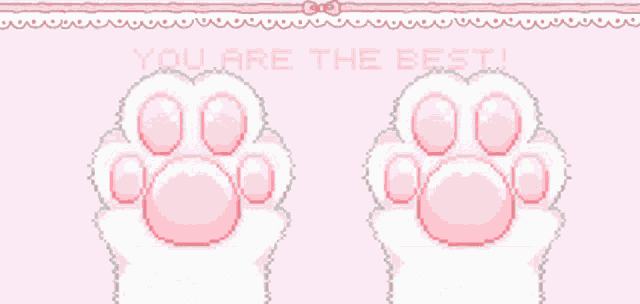 Cat Paws Paws GIF