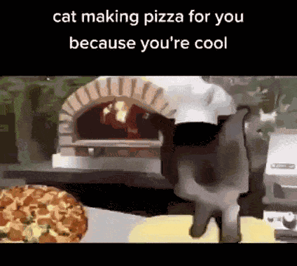 Cat Pizza GIF