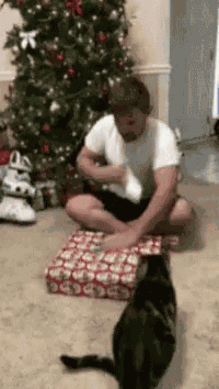 Cat Ps4 GIF