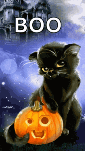 Cat Pumpkin GIF