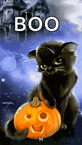 Cat Pumpkin GIF