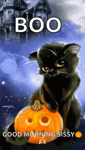 Cat Pumpkin GIF