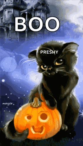 Cat Pumpkin GIF