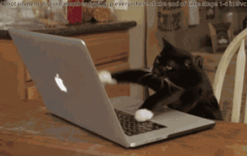 Cat GIF