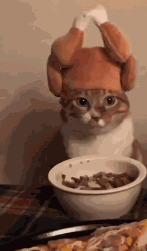 Cat Scared GIF