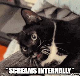 Cat Screams Internally Scream Internally GIF