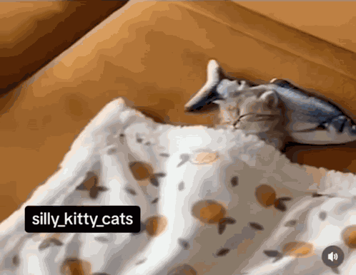 Cat Sleeping Cute Cat GIF