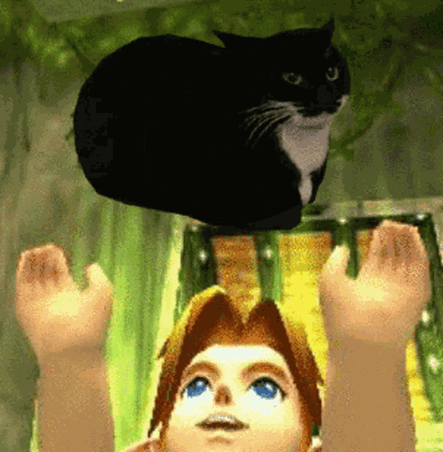 Cat Spinning Cat GIF