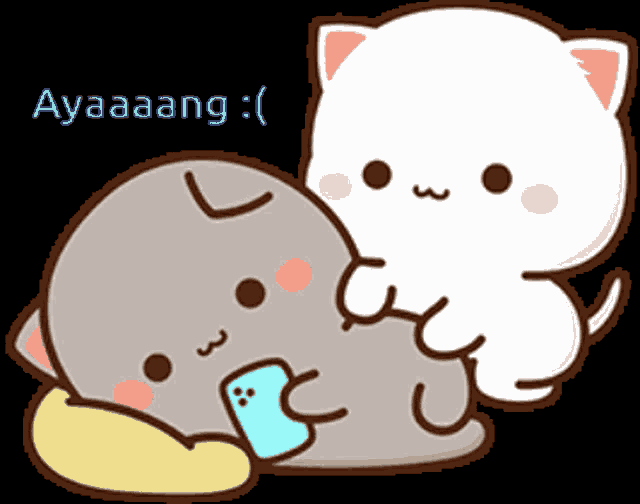 Cat Stiker Cat GIF
