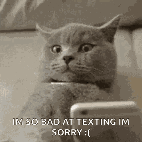 Cat Texting GIF