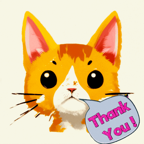 Cat Thank You GIF