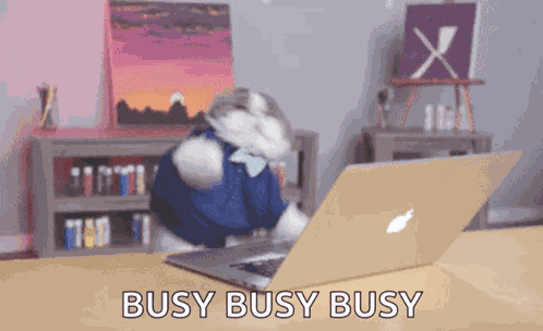 Cat Type GIF