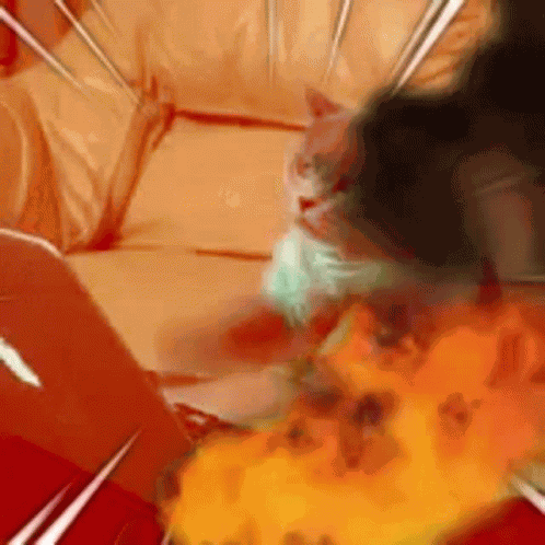Cat Typing Cat Typing Fire GIF