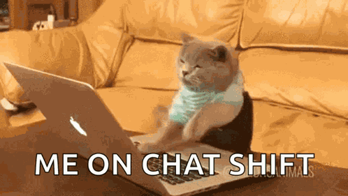Cat Typing GIF