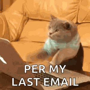 Cat Typing GIF