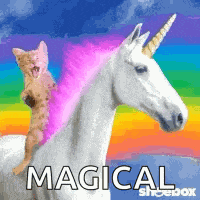 Cat Unicorn GIF