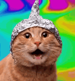 Cat With Aluminum Hat Aluminum Foil Hat GIF