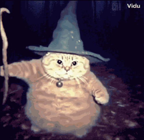 Cat Wizard GIF
