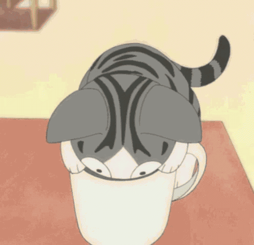 Cat GIF