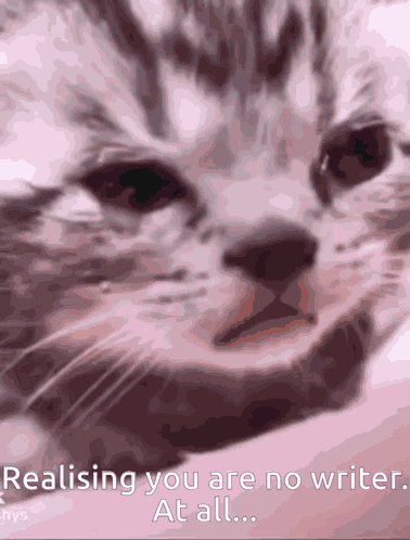 Cat Writer GIF