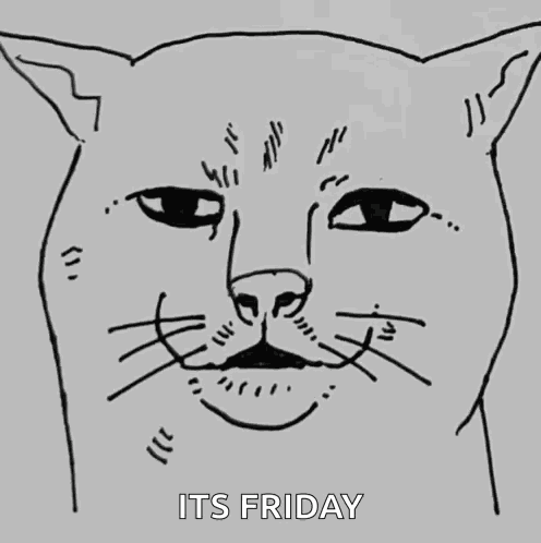 Cat Zoom GIF