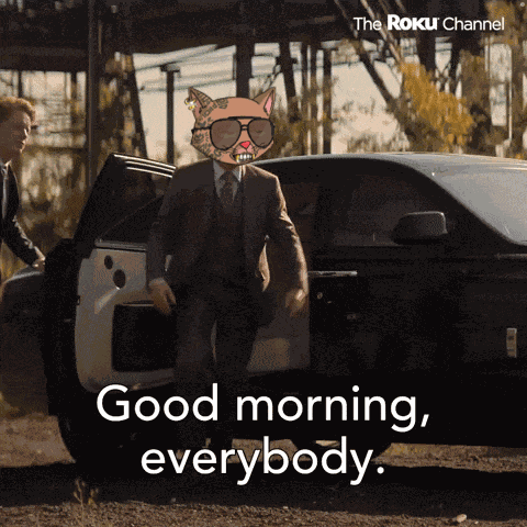 Catcartel Cat Cartel GIF