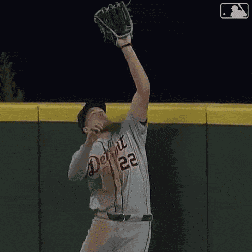 Catching The Ball Major League Baseball GIF