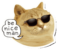 Catcoin Cat Memes Sticker