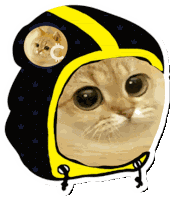 Catcoin Crypto Sticker