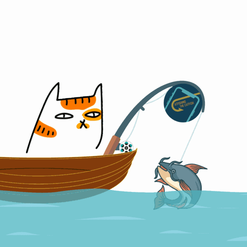 Catfish Catfishing The Catfish GIF
