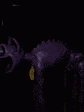 Catnap Smiling Critters GIF