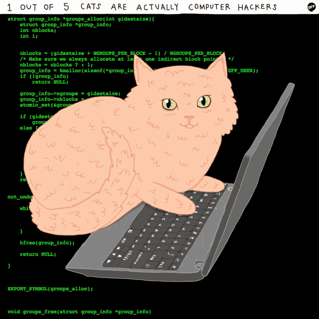 Cats Computer GIF