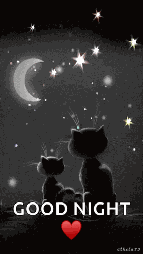 Cats Goodnight GIF