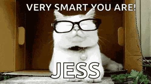 Cats In Glasses Smart Cat GIF