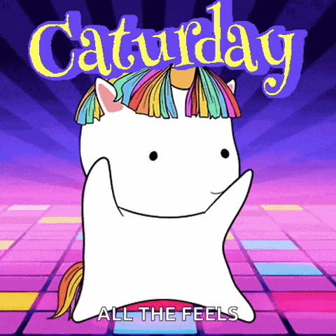Caturday Happycaturday GIF