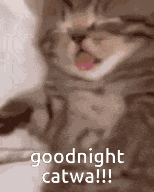 Catwa Good GIF