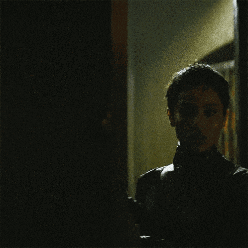 Catwoman Batman The Batman Movie GIF
