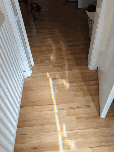 Cayde Legend Of Kanto GIF