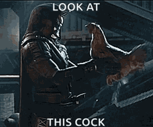 Cayde6 Nicecock GIF
