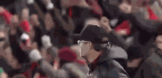Celebrate Celebration GIF