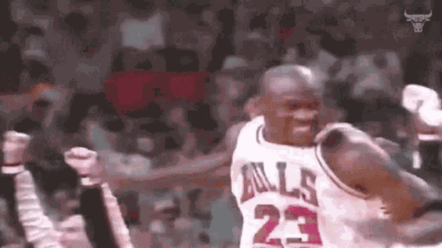 Celebrating Michael Jordan GIF