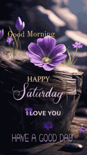 Celestra Saturday Purple Country Meme