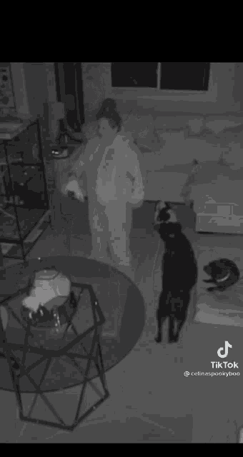 Celina Spookyboo GIF